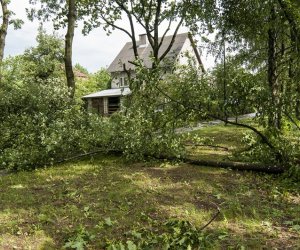 Nawałnica w ciechanowieckim muzeum Nawałnica w ciechanowieckim muzeum