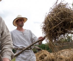 XVII Podlaskie Święto Chleba - fotorelacja XVII Podlaskie Święto Chleba - fotorelacja