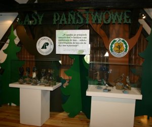 Nasza przyroda, Zagrożenia, cele i formy jej ochrony