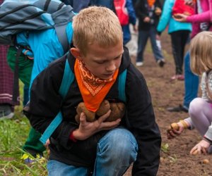 JESIEŃ W POLU I ZAGRODZIE JESIEŃ W POLU I ZAGRODZIE