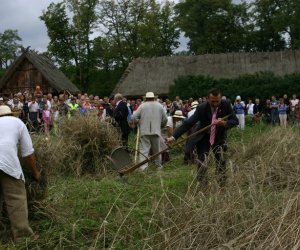 VIII PODLASKIE ŚWIĘTO CHLEBA VIII PODLASKIE ŚWIĘTO CHLEBA