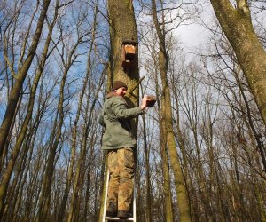 Zimowe Ptakoliczenie 2016 Zimowe Ptakoliczenie 2016