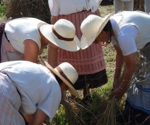 IX Podlaskie Święto Chleba IX Podlaskie Święto Chleba