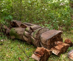 Nawałnica w Ciechanowcu Nawałnica w Ciechanowcu