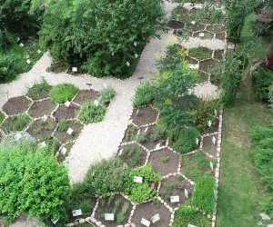 DZIAŁ TRADYCJI ZIELARSKICH DZIAŁ TRADYCJI ZIELARSKICH