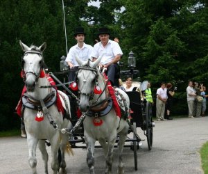 V Zajazd Wysokomazowiecki V Zajazd Wysokomazowiecki