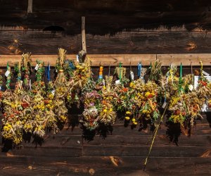 XV Podlaskie Święta Chleba w Muzeum Rolnictwa im. ks. Krzysztofa Kluka w Ciechanowcu XV Podlaskie Święta Chleba w Muzeum Rolnictwa im. ks. Krzysztofa Kluka w Ciechanowcu