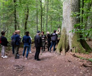 Konferencja Naukowo-Szkoleniowa III PARAZYTOZY ZWIERZĄT - fotorelacja Konferencja Naukowo-Szkoleniowa III PARAZYTOZY ZWIERZĄT - fotorelacja