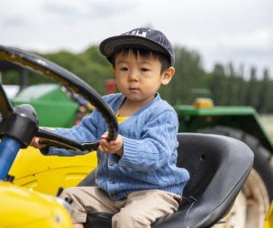 Muzeum Rolnictwa po raz kolejny na Pikniku Poznaj Dobrą Żywność