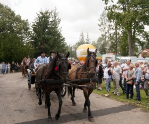 XVI Podlaskie Święto Chleba