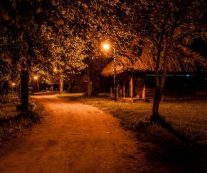 Noc Muzeów Noc Muzeów