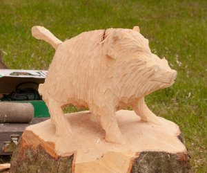 Jarmark Św. Wojciecha i Festyn Leśny 2014 Jarmark Św. Wojciecha i Festyn Leśny 2014