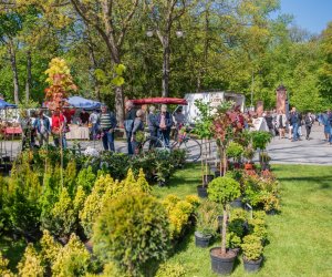 Jarmark św. Wojciecha 2024 - fotorelacja