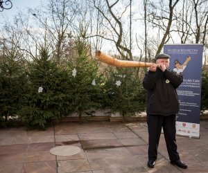 XXXIX Konkurs Gry na Instrumentach Pasterskich - fotorelacja XXXIX Konkurs Gry na Instrumentach Pasterskich - fotorelacja