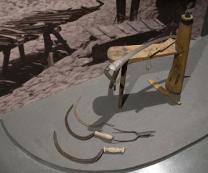 Jubileusz 55-lecia Muzeum Rolnictwa w Ciechanowcu - fotorelacja