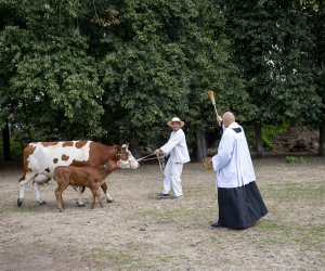 XXIII Podlaskie Święto Chleba - fotorelacja XXIII Podlaskie Święto Chleba - fotorelacja