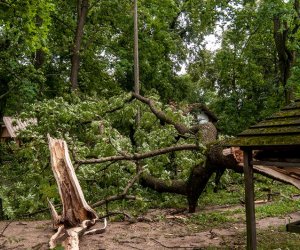 Nawałnica w Ciechanowcu