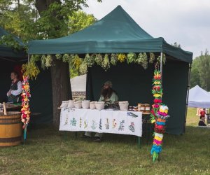 Piknik "Poznaj dobrą żywność" 2019 - fotorelacja Piknik "Poznaj dobrą żywność" 2019 - fotorelacja