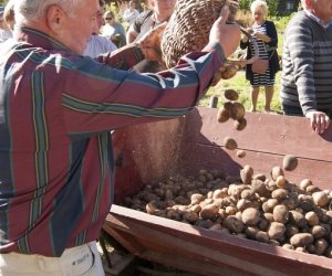 JESIEŃ W POLU I ZAGRODZIE w ramach Europejskich Dni Dziedzictwa 18 września 2016 r. JESIEŃ W POLU I ZAGRODZIE w ramach Europejskich Dni Dziedzictwa 18 września 2016 r.