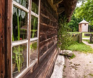 Zielone Świątki Zielone Świątki