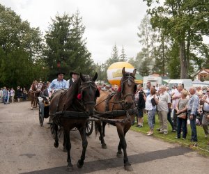 XVI Podlaskie Święto Chleba