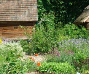 DZIAŁ TRADYCJI ZIELARSKICH DZIAŁ TRADYCJI ZIELARSKICH