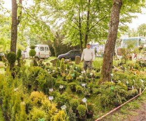 Jarmark Św. Wojciecha i Festyn Leśny 2014 Jarmark Św. Wojciecha i Festyn Leśny 2014