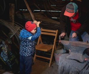 Jesień w polu i zagrodzie - fotorelacja Jesień w polu i zagrodzie - fotorelacja