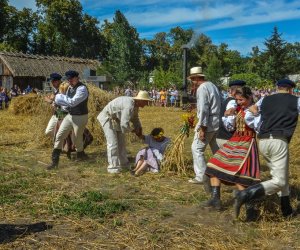 XV Podlaskie Święta Chleba w Muzeum Rolnictwa im. ks. Krzysztofa Kluka w Ciechanowcu XV Podlaskie Święta Chleba w Muzeum Rolnictwa im. ks. Krzysztofa Kluka w Ciechanowcu