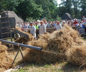 IX Podlaskie Święto Chleba IX Podlaskie Święto Chleba