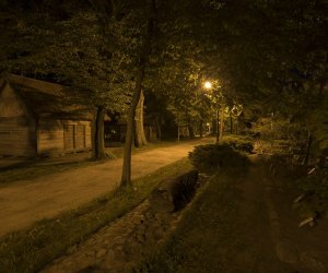 Noc Muzeów 2017 - fotorelacja Noc Muzeów 2017 - fotorelacja