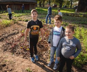 Jesień w polu i zagrodzie - fotorelacja Jesień w polu i zagrodzie - fotorelacja
