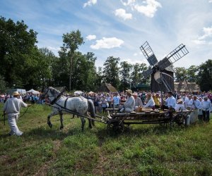 XVIII Podlaskie Święto Chleba - fotorelacja XVIII Podlaskie Święto Chleba - fotorelacja