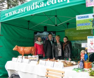 Jarmark św. Wojciecha 2016