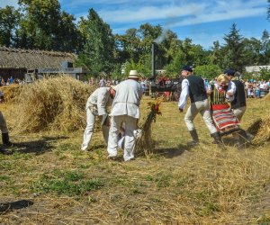 XV Podlaskie Święta Chleba w Muzeum Rolnictwa im. ks. Krzysztofa Kluka w Ciechanowcu XV Podlaskie Święta Chleba w Muzeum Rolnictwa im. ks. Krzysztofa Kluka w Ciechanowcu