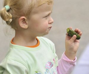 Wykopki w skansenie podsumowanie, fotorelacja.