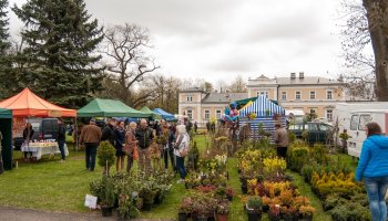 Jarmark św. Wojciecha 2016