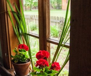 Ludowe Zielone Świątki - święto kościelne Zesłania Ducha Świętego, zamykającego cykl Wielkanocy 15 maja 2016 r.