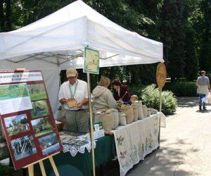 Z wizytą w Warszawie Z wizytą w Warszawie