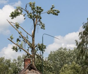 Nawałnica w ciechanowieckim muzeum Nawałnica w ciechanowieckim muzeum