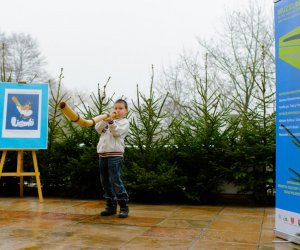 Galeria z 6 grudnia 2014 Galeria z 6 grudnia 2014