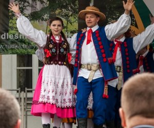 Jarmark św. Wojciecha i Święto Lasu Jarmark św. Wojciecha i Święto Lasu