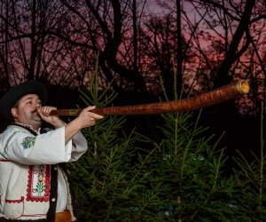 Galeria z 5 grudnia 2015