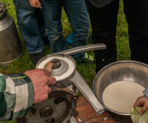 Wykopki w Skansenie 2013 Wykopki w Skansenie 2013