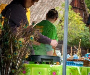 Jesień w polu i zagrodzie