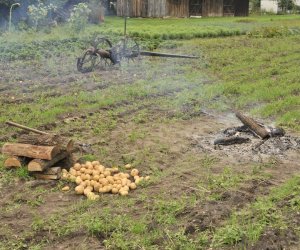 Wykopki w skansenie podsumowanie, fotorelacja.