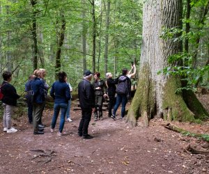 Konferencja Naukowo-Szkoleniowa III PARAZYTOZY ZWIERZĄT - fotorelacja Konferencja Naukowo-Szkoleniowa III PARAZYTOZY ZWIERZĄT - fotorelacja