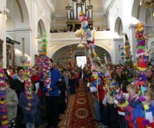 Galeria - Niedziela Palmowa 2007 Galeria - Niedziela Palmowa 2007