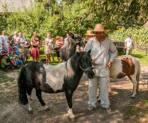 Święto Chleba po raz trzynasty