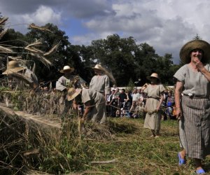 XII Podlaskie Święto Chleba, 12.08.2012 r. XII Podlaskie Święto Chleba, 12.08.2012 r.